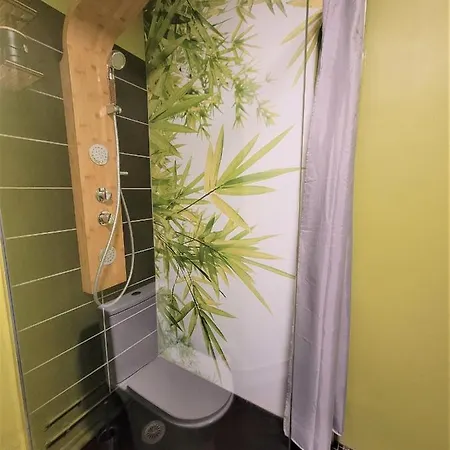 Apartament Nid Douillet Plein De Charme Avec Parking Gratuit *